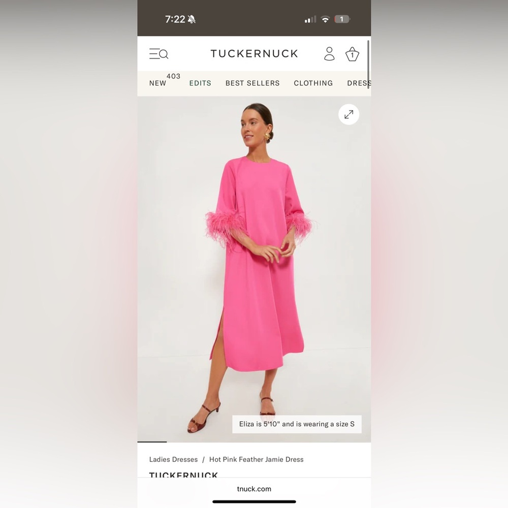 Tuckernuck Pink Feather Sleeve Dress